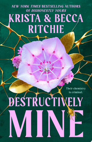 Portada de Destructively Mine