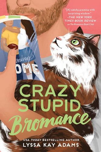 Portada de Crazy Stupid Bromance