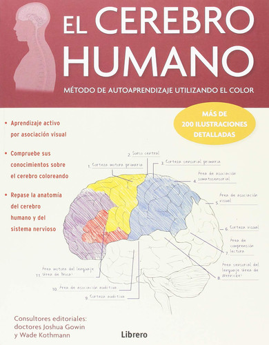 Portada de El cerebro humano método de autoaprendizaje utilizando el color